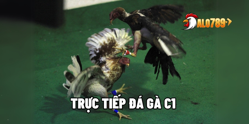truc tiep da ga c1 1